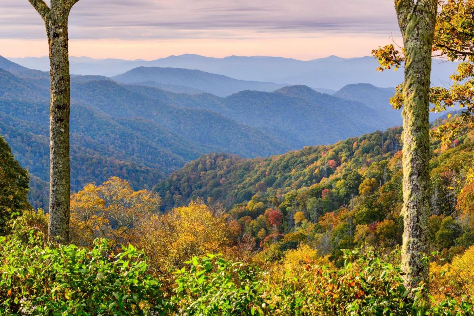 Mill Stream Cottage Pigeon Forge Bagian luar foto
